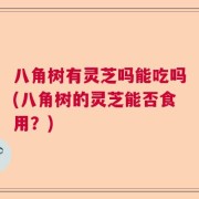 八角树有灵芝吗能吃吗(八角树的灵芝能否食用？)
