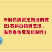 石斛白鸽灵芝煲汤的做法(石斛白鸽灵芝汤，滋养身体豆浆机制作)