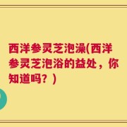 西洋参灵芝泡澡(西洋参灵芝泡浴的益处，你知道吗？)