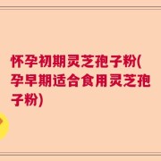 怀孕初期灵芝孢子粉(孕早期适合食用灵芝孢子粉)