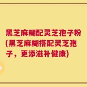 黑芝麻糊配灵芝孢子粉(黑芝麻糊搭配灵芝孢子，更添滋补健康)