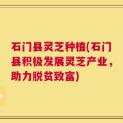 石门县灵芝种植(石门县积极发展灵芝产业，助力脱贫致富)