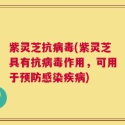 紫灵芝抗病毒(紫灵芝具有抗病毒作用，可用于预防感染疾病)