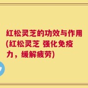 红松灵芝的功效与作用(红松灵芝 强化免疫力，缓解疲劳)