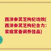 西洋参灵芝枸杞功效(西洋参灵芝枸杞合力：家庭常备调养佳品)