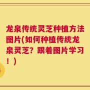 龙泉传统灵芝种植方法图片(如何种植传统龙泉灵芝？跟着图片学习！)