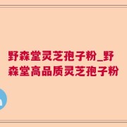 野森堂灵芝孢子粉_野森堂高品质灵芝孢子粉