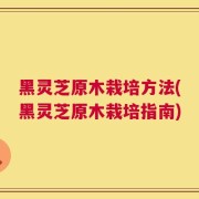 黑灵芝原木栽培方法(黑灵芝原木栽培指南)