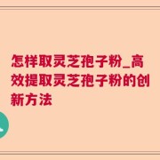 怎样取灵芝孢子粉_高效提取灵芝孢子粉的创新方法