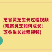 芝谷灵芝生长过程视频(观察灵芝如何成长：芝谷生长过程视频)