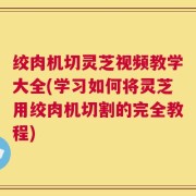 绞肉机切灵芝视频教学大全(学习如何将灵芝用绞肉机切割的完全教程)