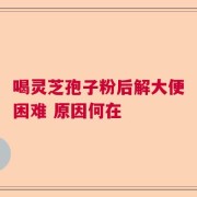 喝灵芝孢子粉后解大便困难 原因何在