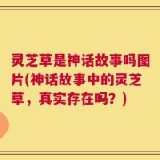 灵芝草是神话故事吗图片(神话故事中的灵芝草，真实存在吗？)