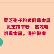 灵芝孢子粉吸附重金属_灵芝孢子粉：高效吸附重金属，保护健康