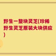 野生一整块灵芝(珍稀野生灵芝原装大块供应)
