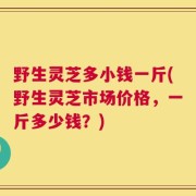 野生灵芝多小钱一斤(野生灵芝市场价格，一斤多少钱？)