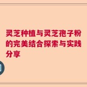 灵芝种植与灵芝孢子粉的完美结合探索与实践分享