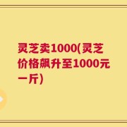 灵芝卖1000(灵芝价格飙升至1000元一斤)