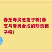 春芝寿灵芝孢子粉(春芝与寿灵合成的珍贵孢子粉)