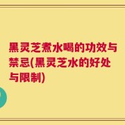 黑灵芝煮水喝的功效与禁忌(黑灵芝水的好处与限制)