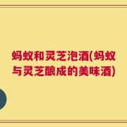 蚂蚁和灵芝泡酒(蚂蚁与灵芝酿成的美味酒)