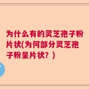 为什么有的灵芝孢子粉片状(为何部分灵芝孢子粉呈片状？)