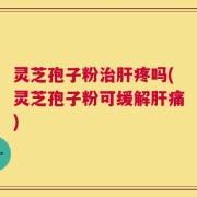 灵芝孢子粉治肝疼吗(灵芝孢子粉可缓解肝痛)
