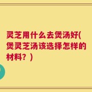 灵芝用什么去煲汤好(煲灵芝汤该选择怎样的材料？)