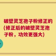 破壁灵芝孢子粉修正的(修正后的破壁灵芝孢子粉，功效更强大)
