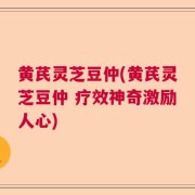 黄芪灵芝豆仲(黄芪灵芝豆仲 疗效神奇激励人心)