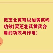 灵芝北芪可以加黄芪吗功效(灵芝北芪黄芪合用的功效与作用)