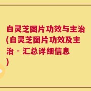 白灵芝图片功效与主治(白灵芝图片功效及主治 - 汇总详细信息)