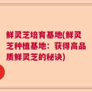 鲜灵芝培育基地(鲜灵芝种植基地：获得高品质鲜灵芝的秘诀)