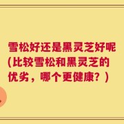 雪松好还是黑灵芝好呢(比较雪松和黑灵芝的优劣，哪个更健康？)