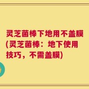 灵芝菌棒下地用不盖膜(灵芝菌棒：地下使用技巧，不需盖膜)