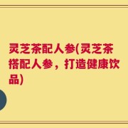 灵芝茶配人参(灵芝茶搭配人参，打造健康饮品)