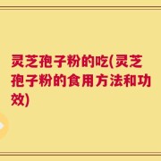 灵芝孢子粉的吃(灵芝孢子粉的食用方法和功效)