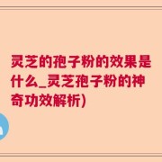 灵芝的孢子粉的效果是什么_灵芝孢子粉的神奇功效解析)
