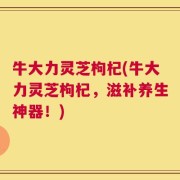 牛大力灵芝枸杞(牛大力灵芝枸杞，滋补养生神器！)
