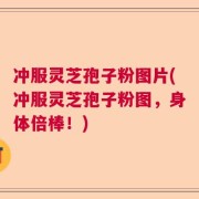 冲服灵芝孢子粉图片(冲服灵芝孢子粉图，身体倍棒！)