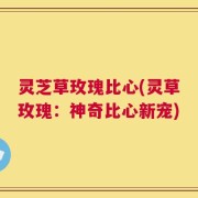 灵芝草玫瑰比心(灵草玫瑰：神奇比心新宠)