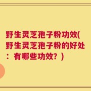 野生灵芝孢子粉功效(野生灵芝孢子粉的好处：有哪些功效？)