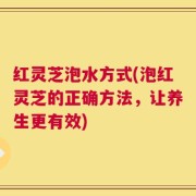 红灵芝泡水方式(泡红灵芝的正确方法，让养生更有效)