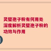 灵璧孢子粉有何用处 深度解析灵璧孢子粉的功效与作用