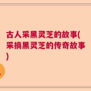古人采黑灵芝的故事(采摘黑灵芝的传奇故事)