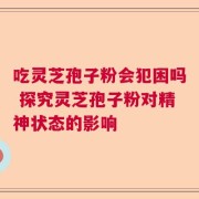 吃灵芝孢子粉会犯困吗 探究灵芝孢子粉对精神状态的影响