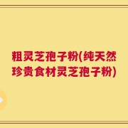 粗灵芝孢子粉(纯天然珍贵食材灵芝孢子粉)