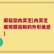 蘑菇型肉灵芝(肉灵芝展现蘑菇般的外形美感)