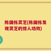 陈国栋灵芝(陈国栋发现灵芝的惊人功效)