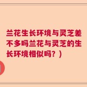 兰花生长环境与灵芝差不多吗兰花与灵芝的生长环境相似吗？)
